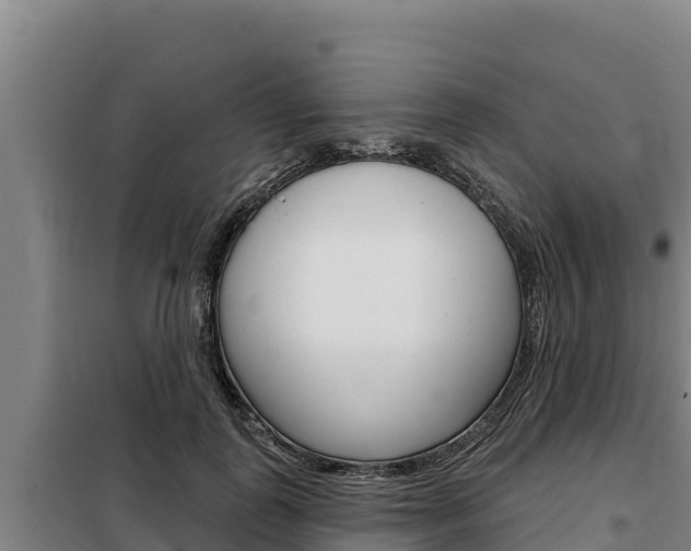 X0000098080747200804040751