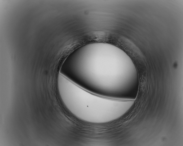 X0000098080748200804040751