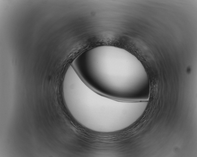 X0000098080750200804040751