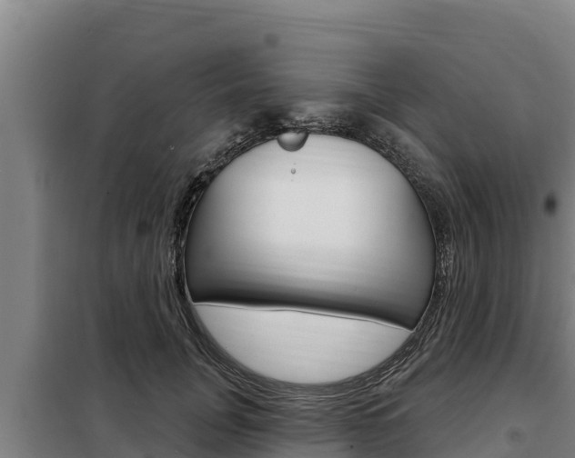 X0000098080751200804040751