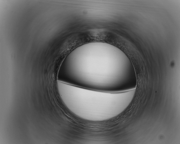 X0000098080752200804040751