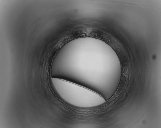 X0000098080754200804040751