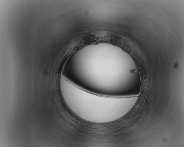 X0000098080756200804040751