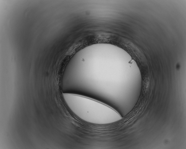 X0000098080759200804040751