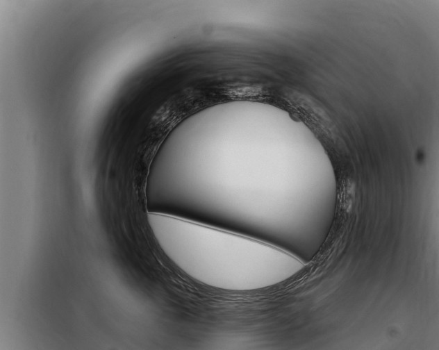 X0000098080763200804040751
