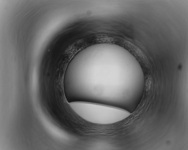 X0000098080764200804040751