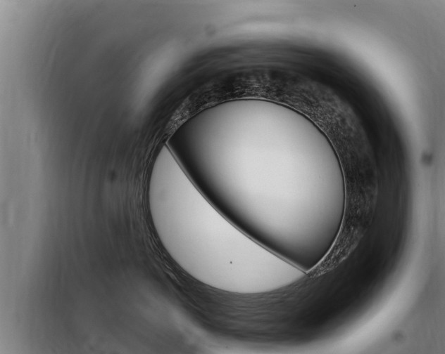 X0000098080766200804040751