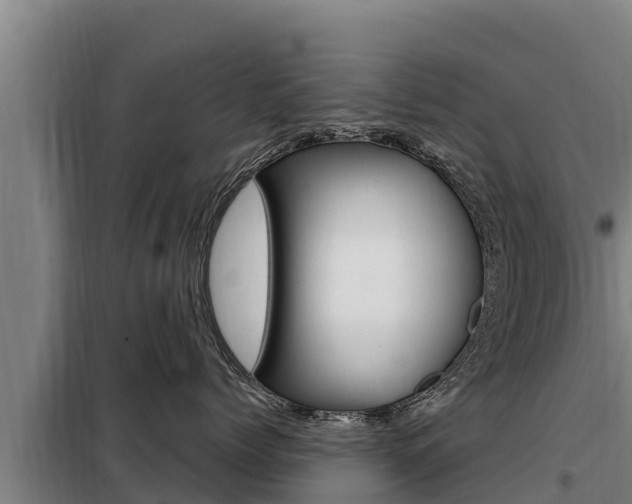 X0000098080768200804040751