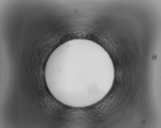 X0000098080769200804040750