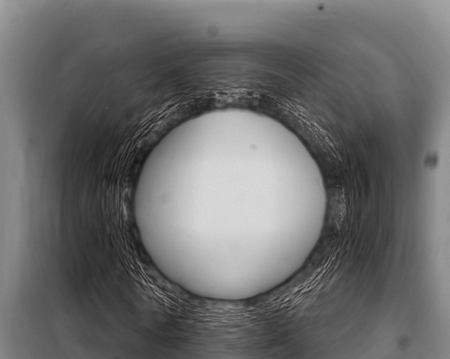 X0000098080770200804040750