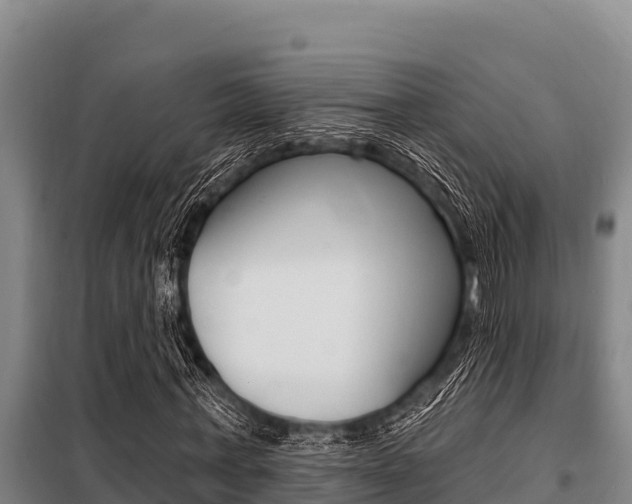 X0000098080771200804040750