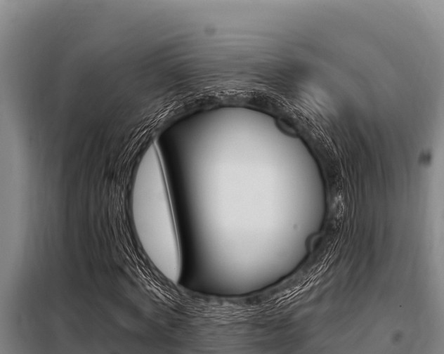 X0000098080772200804040750
