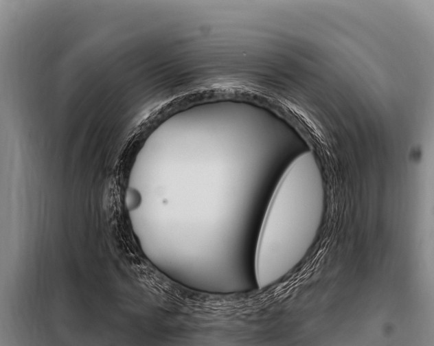 X0000098080776200804040750