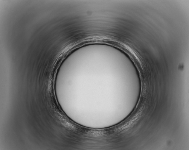 X0000098080778200804040750