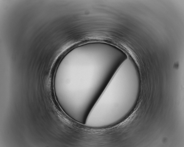 X0000098080779200804040750