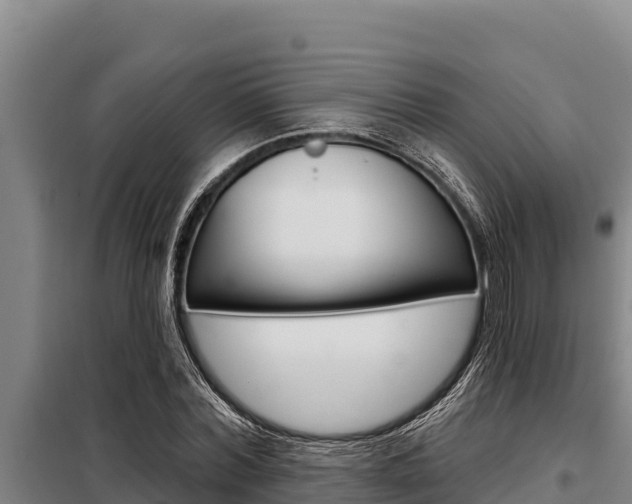 X0000098080780200804040750