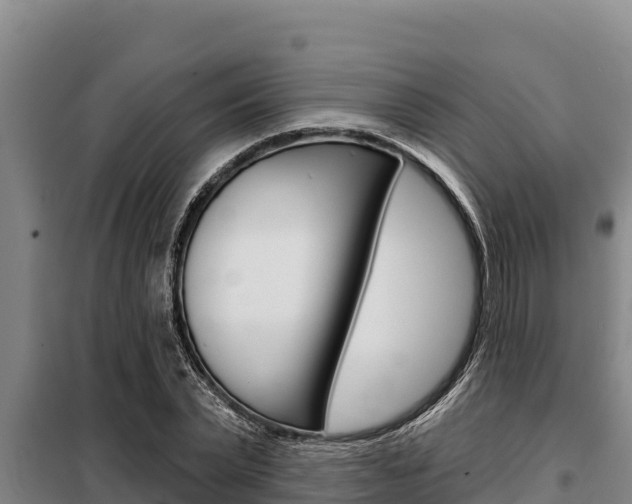 X0000098080783200804040750
