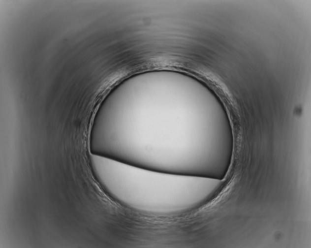 X0000098080785200804040750
