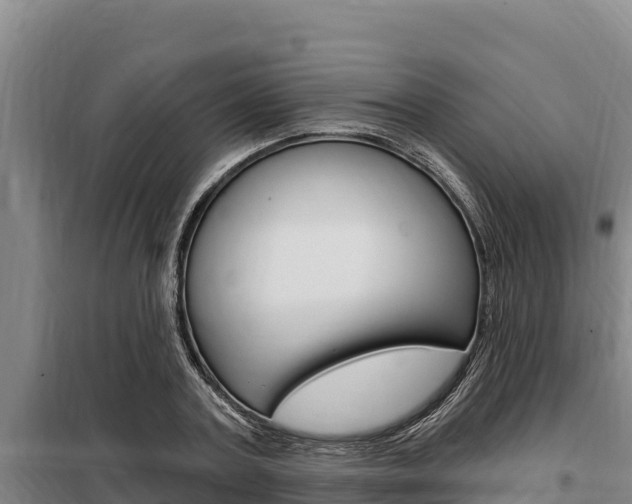 X0000098080787200804040750