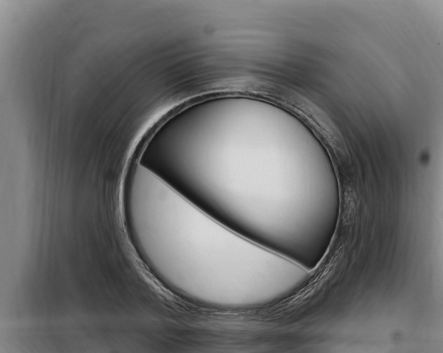 X0000098080788200804040750