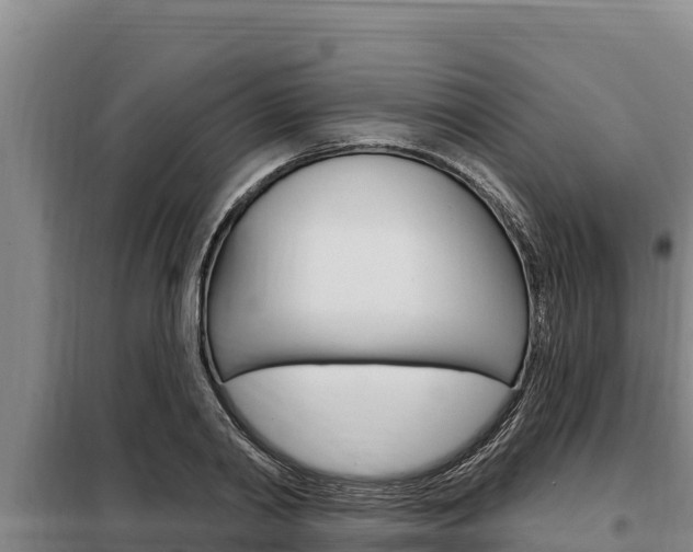 X0000098080790200804040750