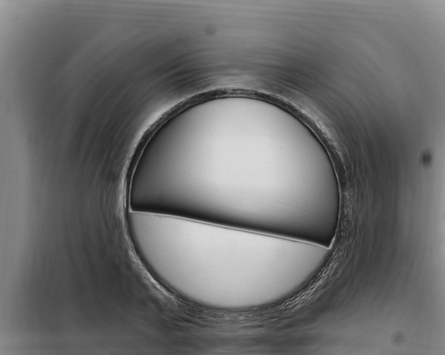 X0000098080791200804040750