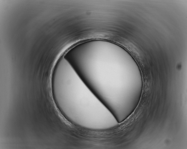 X0000098080792200804040750