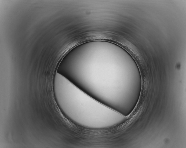 X0000098080793200804040750