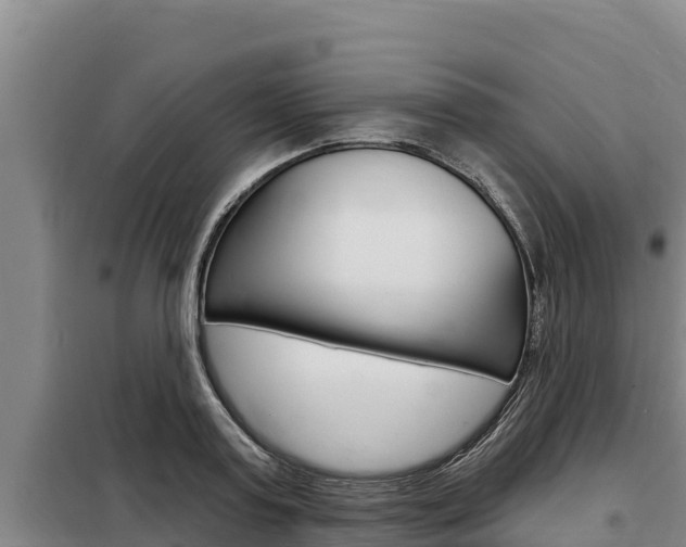 X0000098080795200804040750