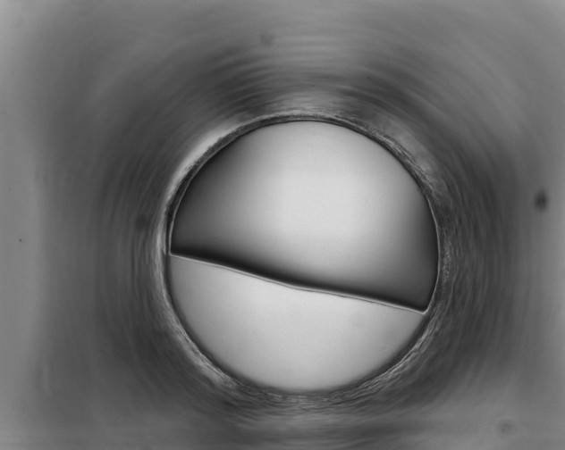 X0000098080796200804040750