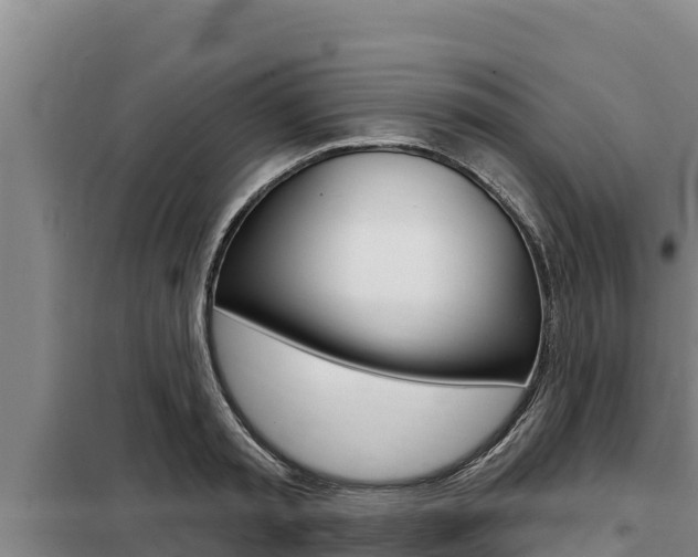 X0000098080797200804040750
