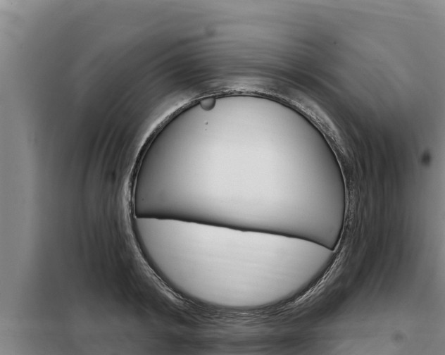 X0000098080798200804040750