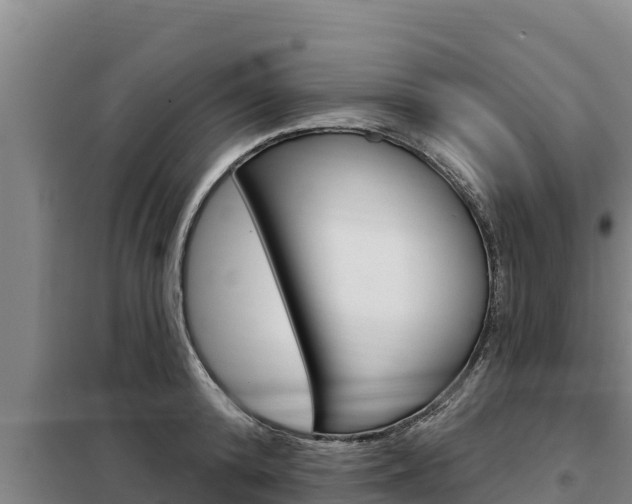 X0000098080800200804040750