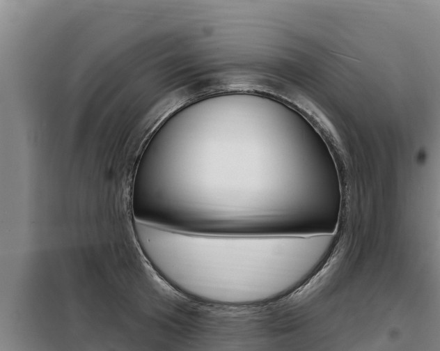 X0000098080801200804040750
