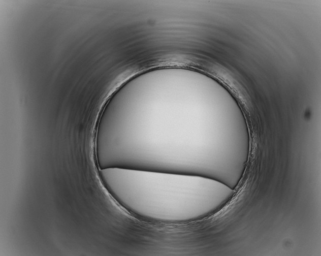 X0000098080802200804040750
