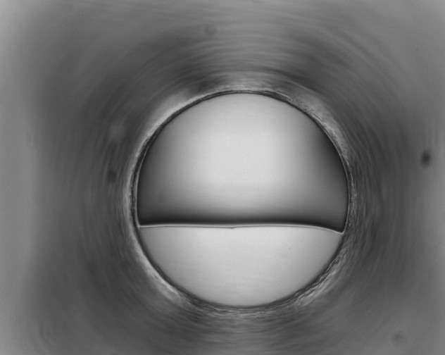 X0000098080803200804040750