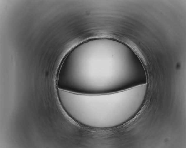 X0000098080805200804040750