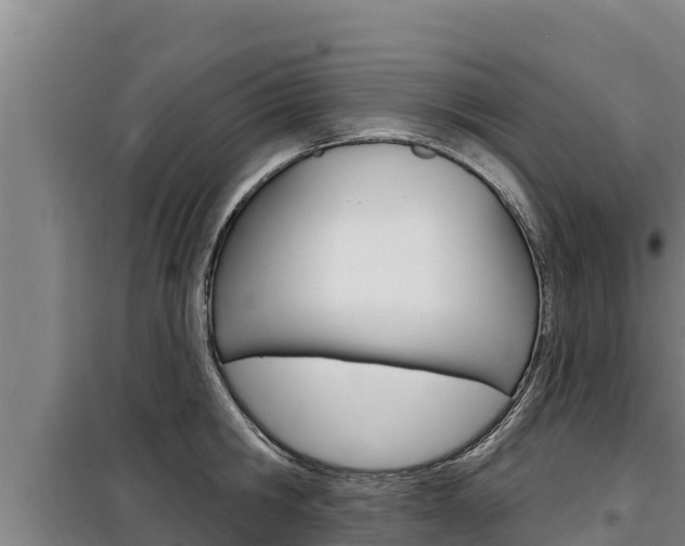 X0000098080806200804040750