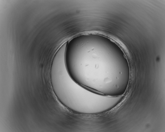X0000098080809200804040750