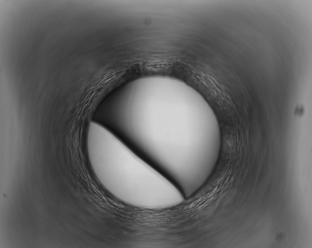 X0000098080817200804040749