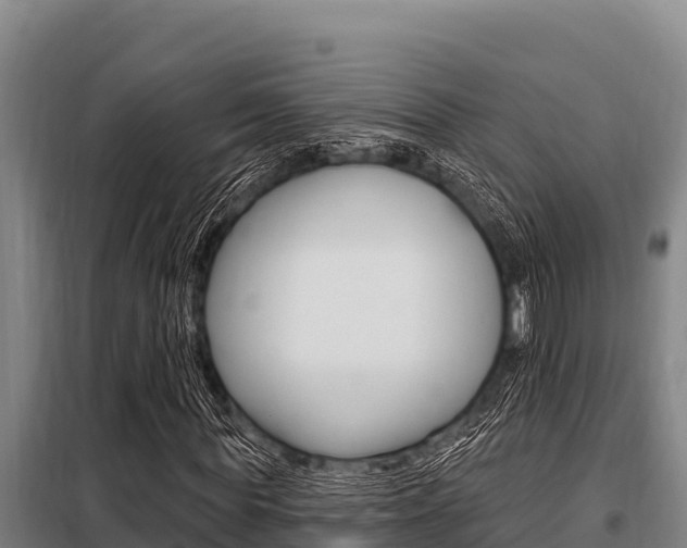 X0000098080819200804040749