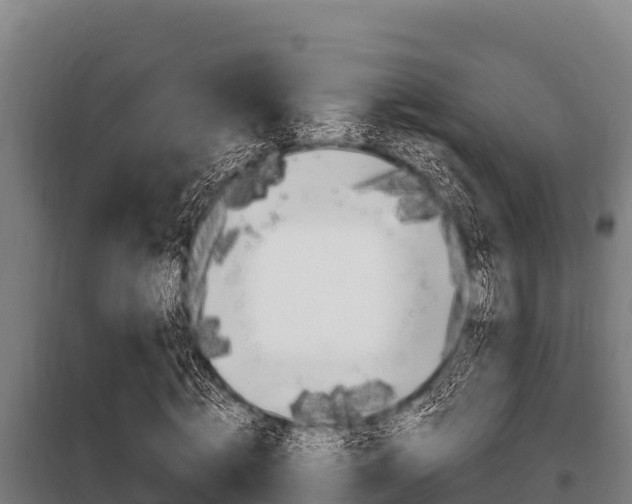 X0000098080820200804040749