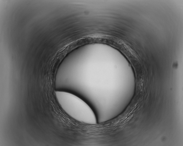 X0000098080821200804040749