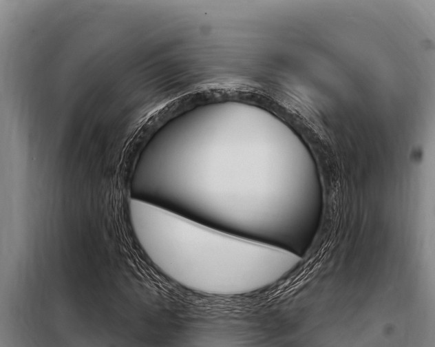 X0000098080822200804040749
