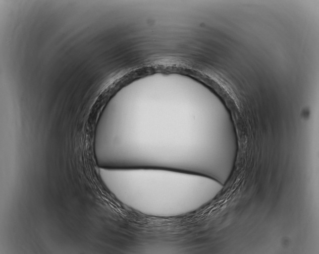 X0000098080823200804040749