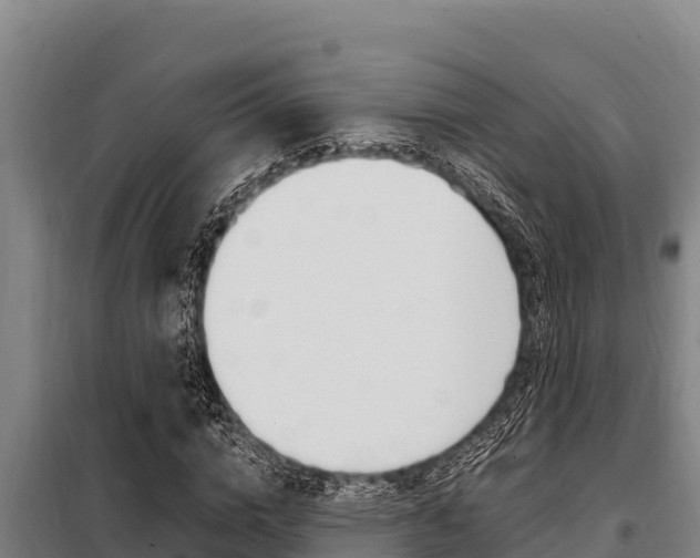 X0000098080824200804040749