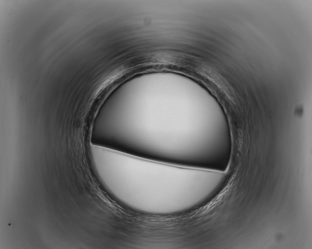 X0000098080826200804040749