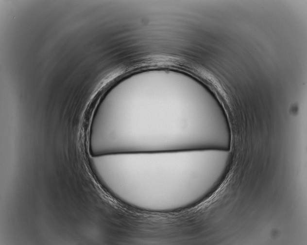 X0000098080827200804040749
