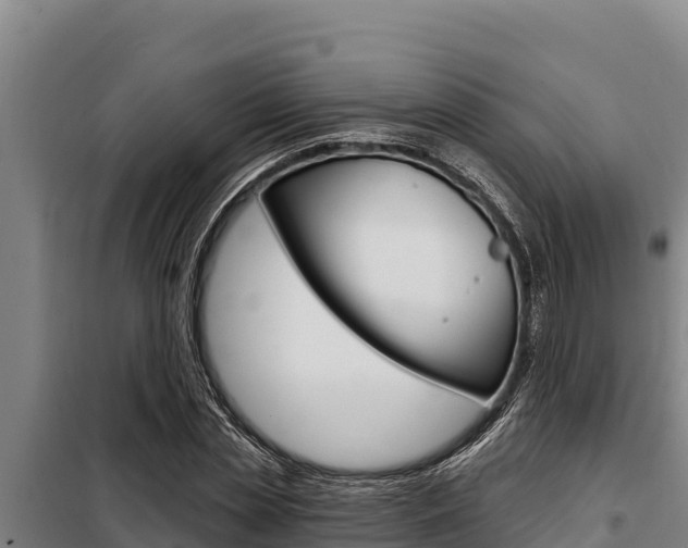 X0000098080829200804040749
