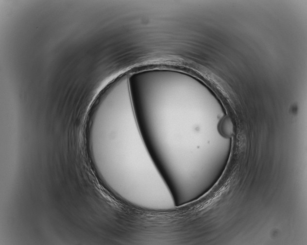 X0000098080830200804040749